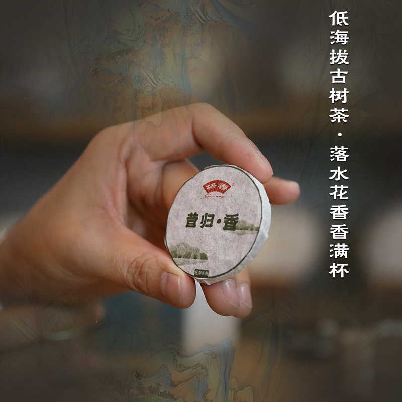 2024年春茶 昔归古树生普岩骨兰韵昔归香7克玲珑小饼84片竹盒装