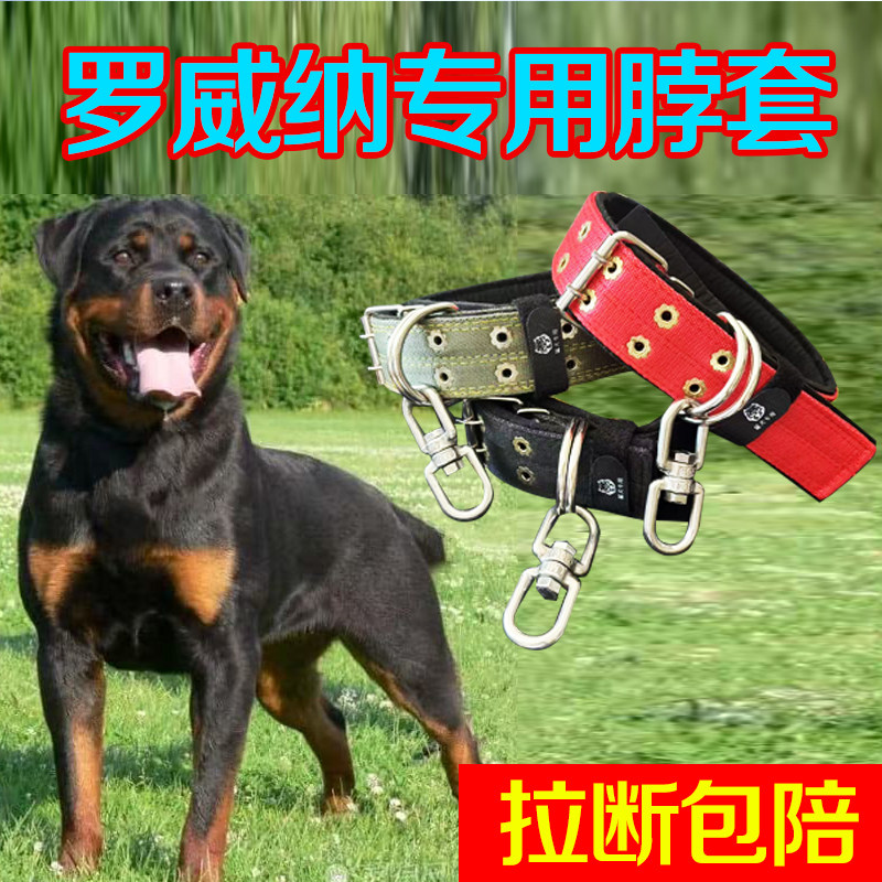 罗威纳专用双排加厚颈圈脖套宠物项圈大狗脖圈狗链不锈钢8字转环