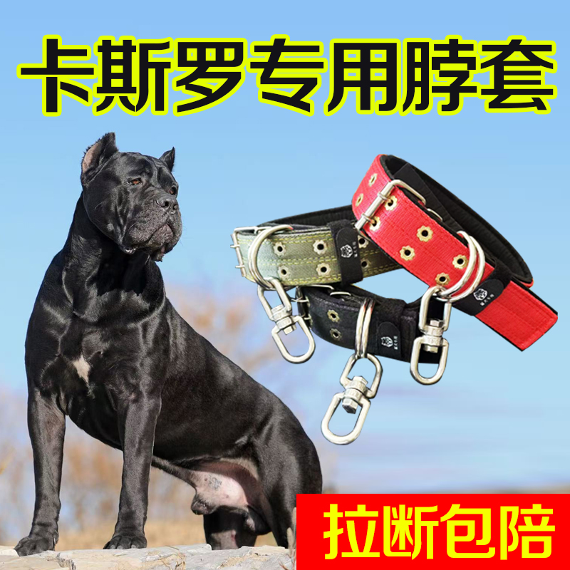 卡斯罗专用双排加厚颈圈脖套宠物项圈大狗脖圈狗链不锈钢8字转环