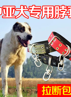 中亚犬专用双排加厚颈圈脖套宠物项圈大狗脖圈狗链不锈钢8字转环