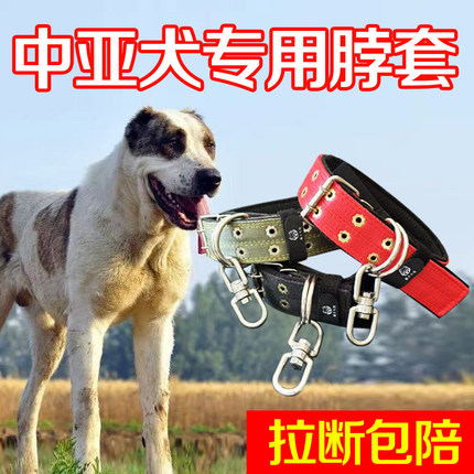 中亚犬专用双排加厚颈圈脖套宠物项圈大狗脖圈狗链不锈钢8字转环