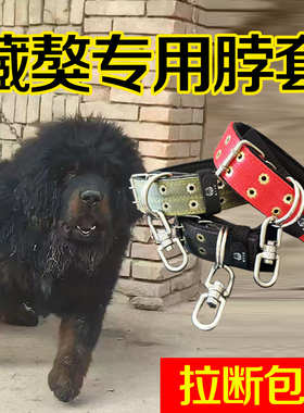 藏獒犬专用双排加厚颈圈脖套宠物项圈大狗脖圈狗链不锈钢8字转环