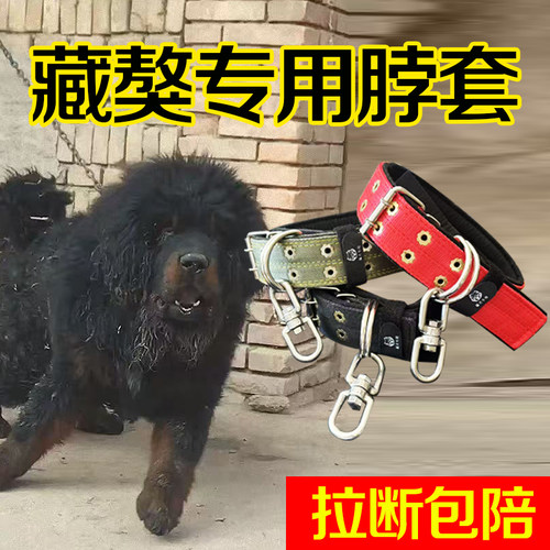 藏獒犬专用双排加厚颈圈脖套宠物项圈大狗脖圈狗链不锈钢8字转环