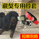 藏獒犬专用双排加厚颈圈脖套宠物项圈大狗脖圈狗链不锈钢8字转环
