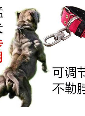 双排加厚颈圈脖套宠物项圈大狗脖圈狗链不锈钢8字转环防绕颈结实