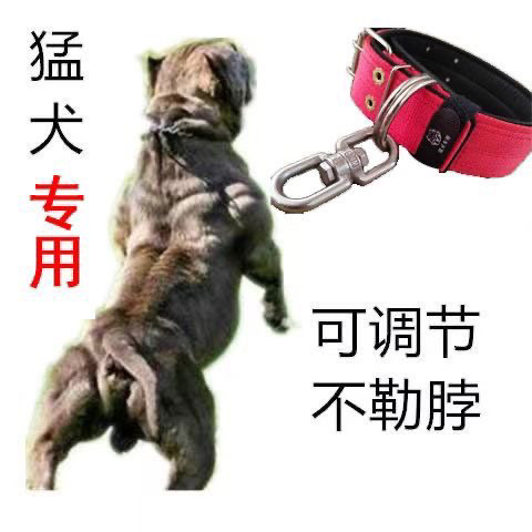 双排加厚颈圈脖套宠物项圈大狗脖圈狗链不锈钢8字转环防绕颈结实