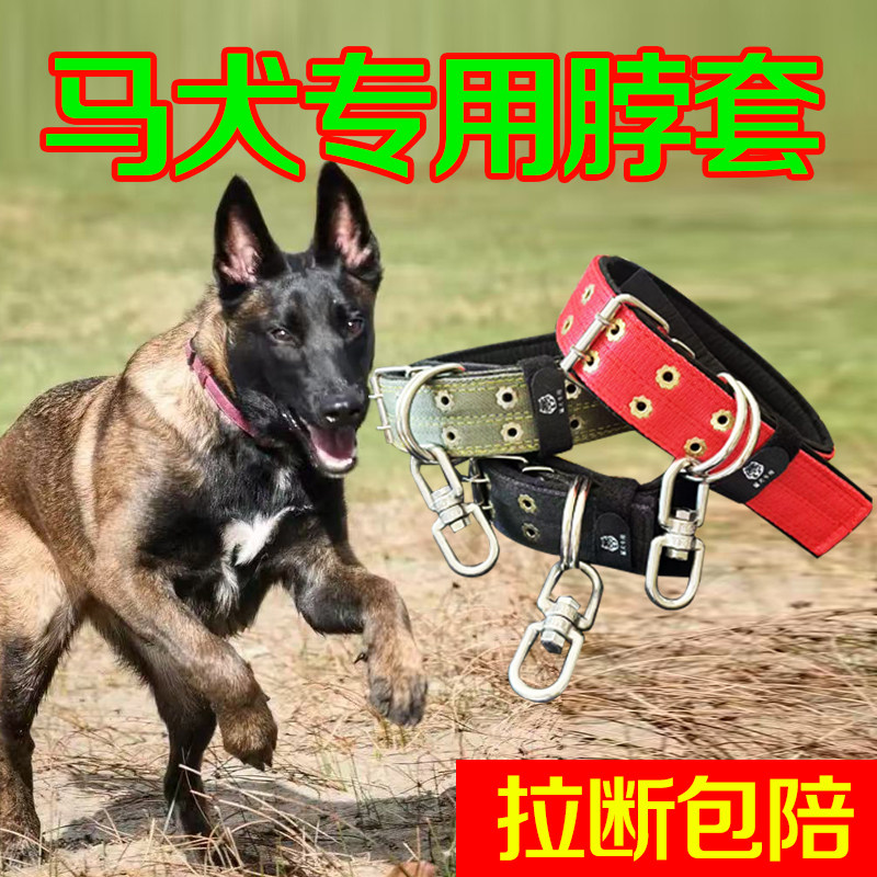 马犬专用双排加厚颈圈脖套宠物项圈大狗脖圈狗链不锈钢8字转环