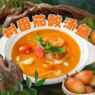 诺高美高原树番茄酸汤底料火锅烤鱼米线小吃调味料