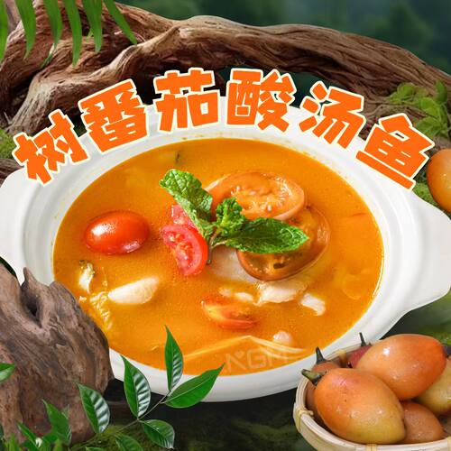 诺高美高原树番茄酸汤底料火锅烤鱼米线小吃调味料