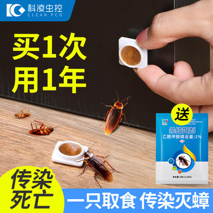 蟑螂药一锅全窝除小强非无毒正品绝杀扫尽胶饵贴家用端官方旗舰店