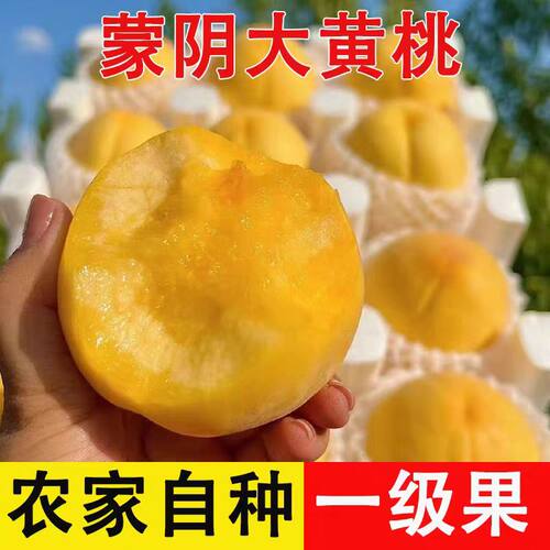 黄桃山东蒙阴蜜桃新鲜水果