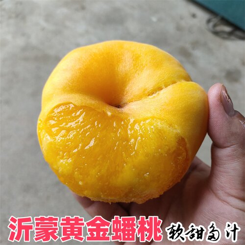 黄金蟠桃山东蒙阴蟠桃爆甜多汁