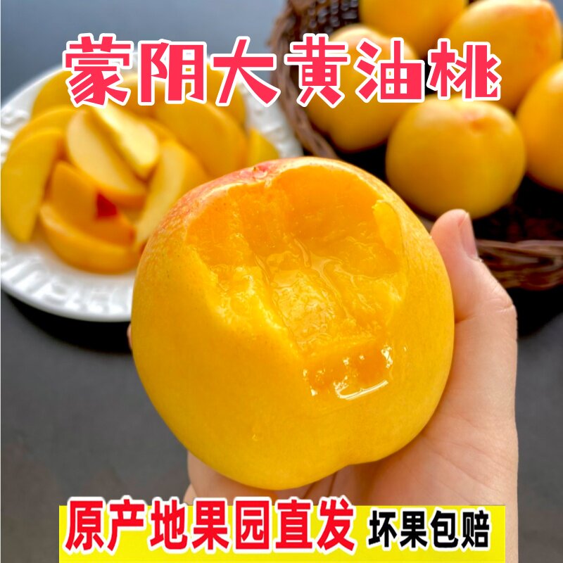 黄油桃脆甜山东蒙阴多汁