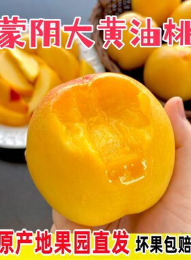 黄油桃脆甜山东蒙阴多汁
