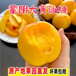 黄油桃脆甜山东蒙阴多汁