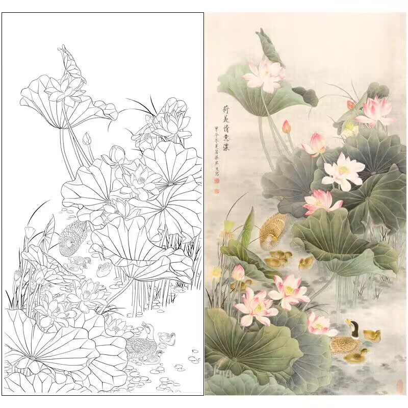 高清工笔画荷花白描素材国画花鸟四尺初学者临摹练习线描底稿741