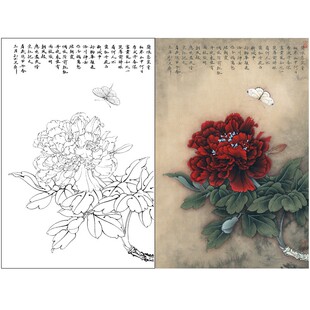 工笔画白描底稿李晓明原创蝴蝶红牡丹图初学者过稿王红白粉蝶039