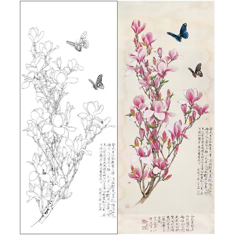 国画工笔画打印白描底稿竖幅辛夷玉兰花临摹勾线过搞上色练习739x