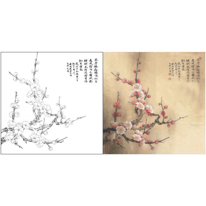 李晓明梅花图斗方小品工笔画白描底稿线描稿过稿实物打印稿392x