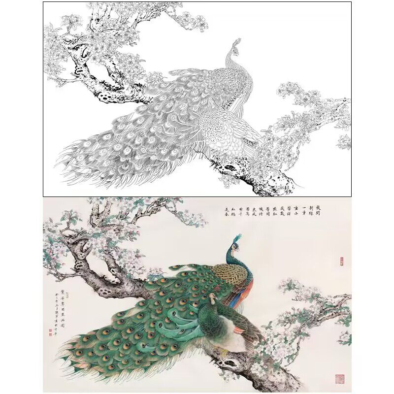 有步骤有说明陈军工笔画白描底稿横幅绿孔雀初学临摹宣纸过稿763l
