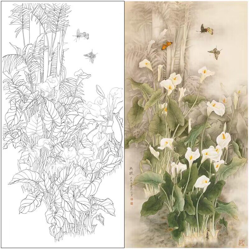 506工笔画四尺条幅马蹄莲白描素材国画花鸟初学者临摹练习线描稿