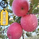 整箱10斤 产地直发陕西咸阳旬邑马栏红富士苹果新鲜应季 顺丰 包邮