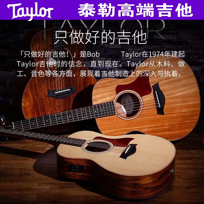 Taylor814CE/214CE/110CE/MINI