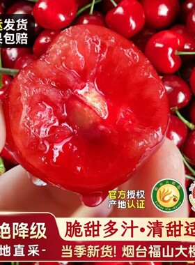 烟台大樱桃产地直发脆甜多汁礼盒
