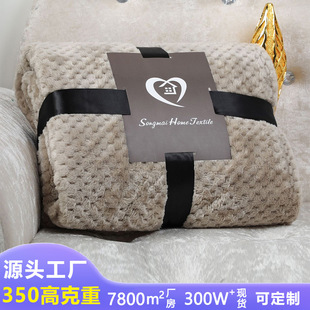 blanket coral fleece Thick cover flannel sand pineapple