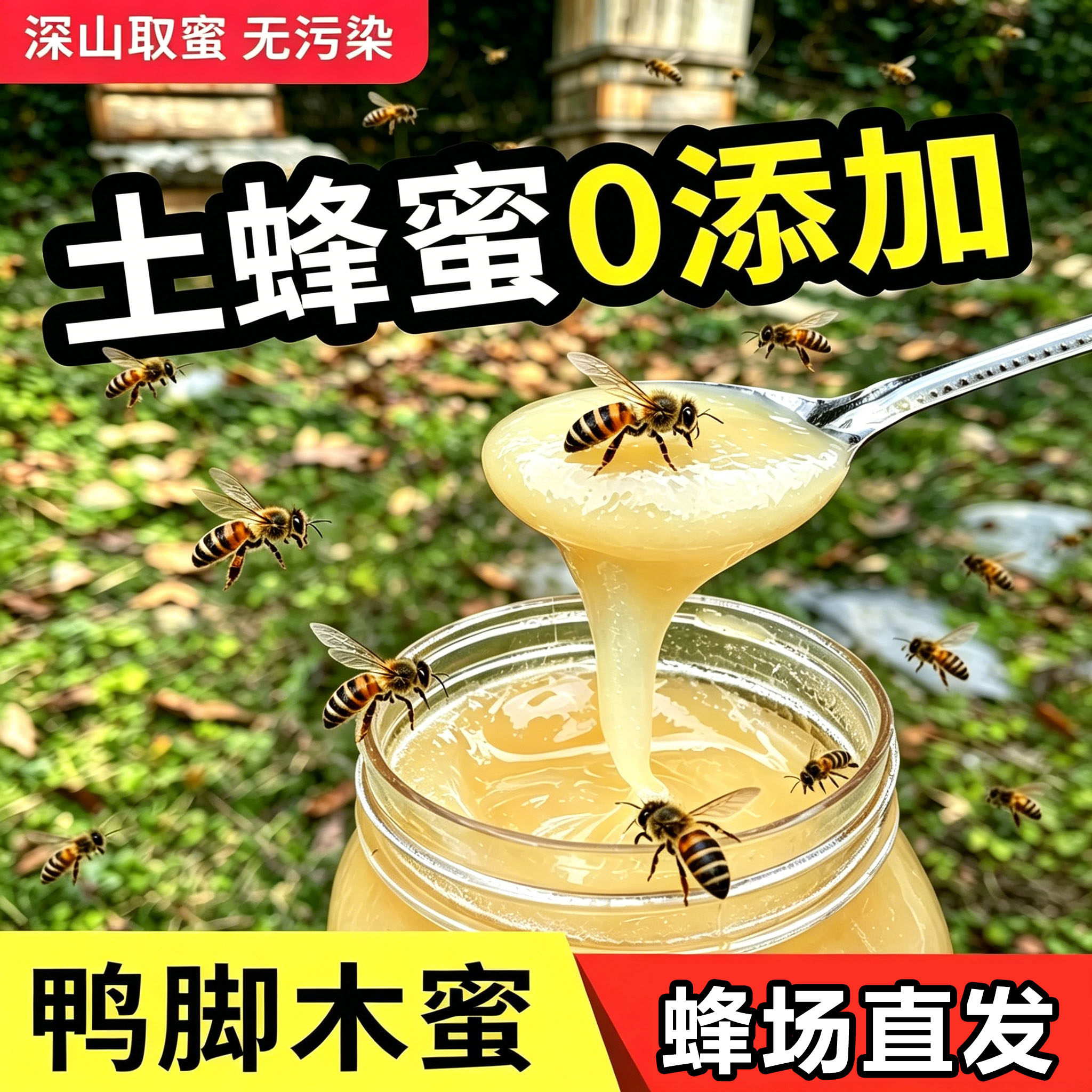 蜂蜜【假一罚十】纯天然正宗真蜂蜜鸭脚木冬蜜/百花蜜