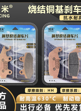 适隆鑫无极180R 180RR LX175-10/LX175GS 杜邦超合金碟刹片刹车片