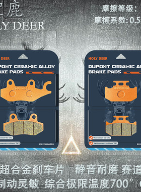 适用川崎摩托车KDX200SR KDX250碟刹皮 91-93款烧结高性能刹车片