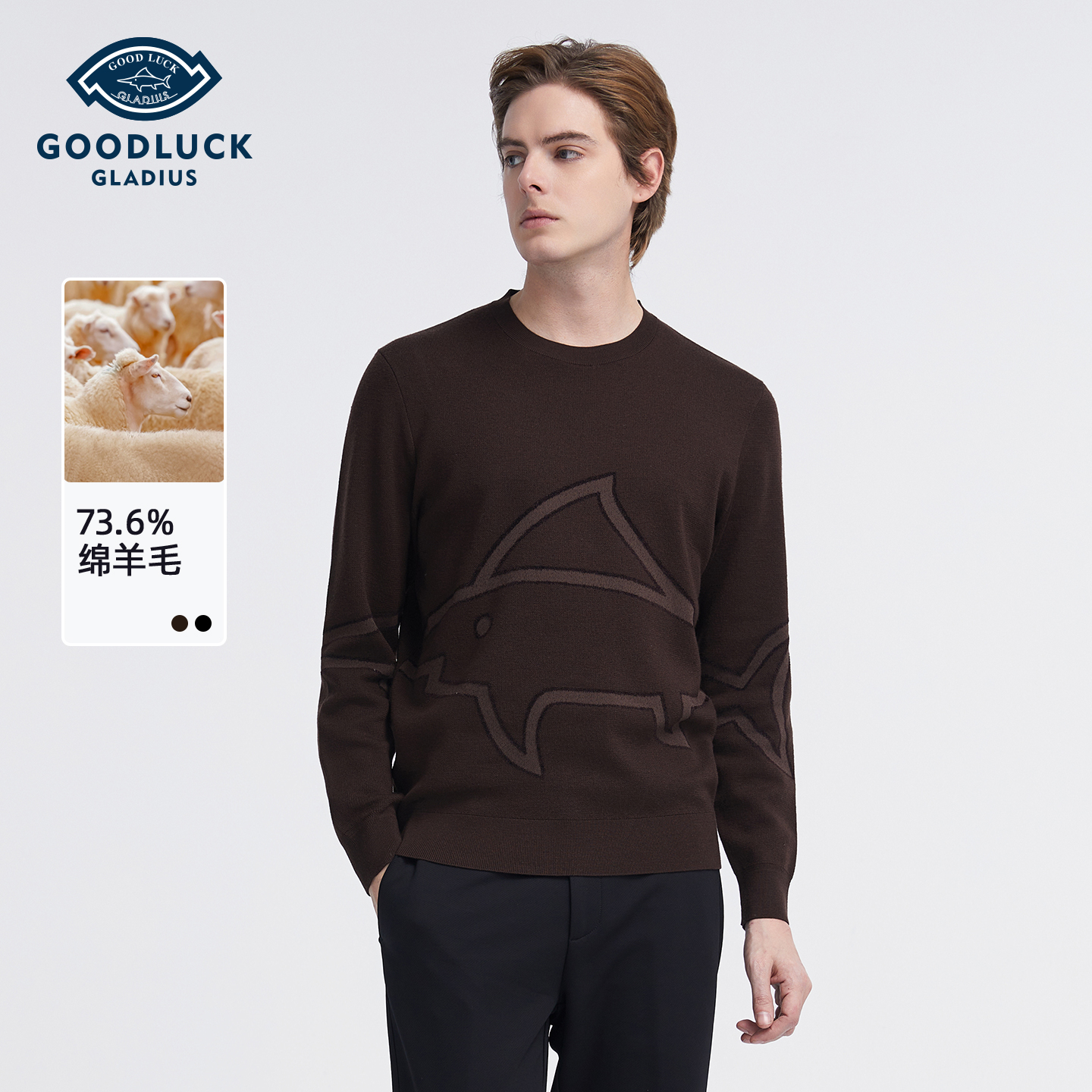 德鲨秋冬季新款圆领羊毛衫男毛衣