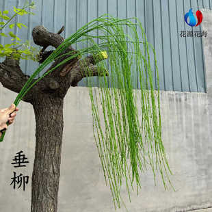 仿真吊垂柳枝绿色植物墙配材一帘幽梦藤条田园风格芽柳草壁挂藤蔓