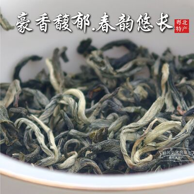 2026新茶明前绿茶浓香型韶关白毛茶耐泡型乐昌九峰白毛茶粤北特产