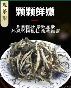 2025新茶韶关仁化白毛茶春茶谷雨茶清明茶后散茶高山云雾绿茶广东