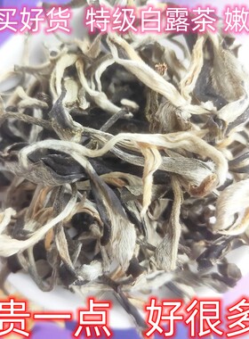 广东韶关丹霞白毛茶特级白露茶嫩高山云雾毛尖毛峰香醇甘直销500g