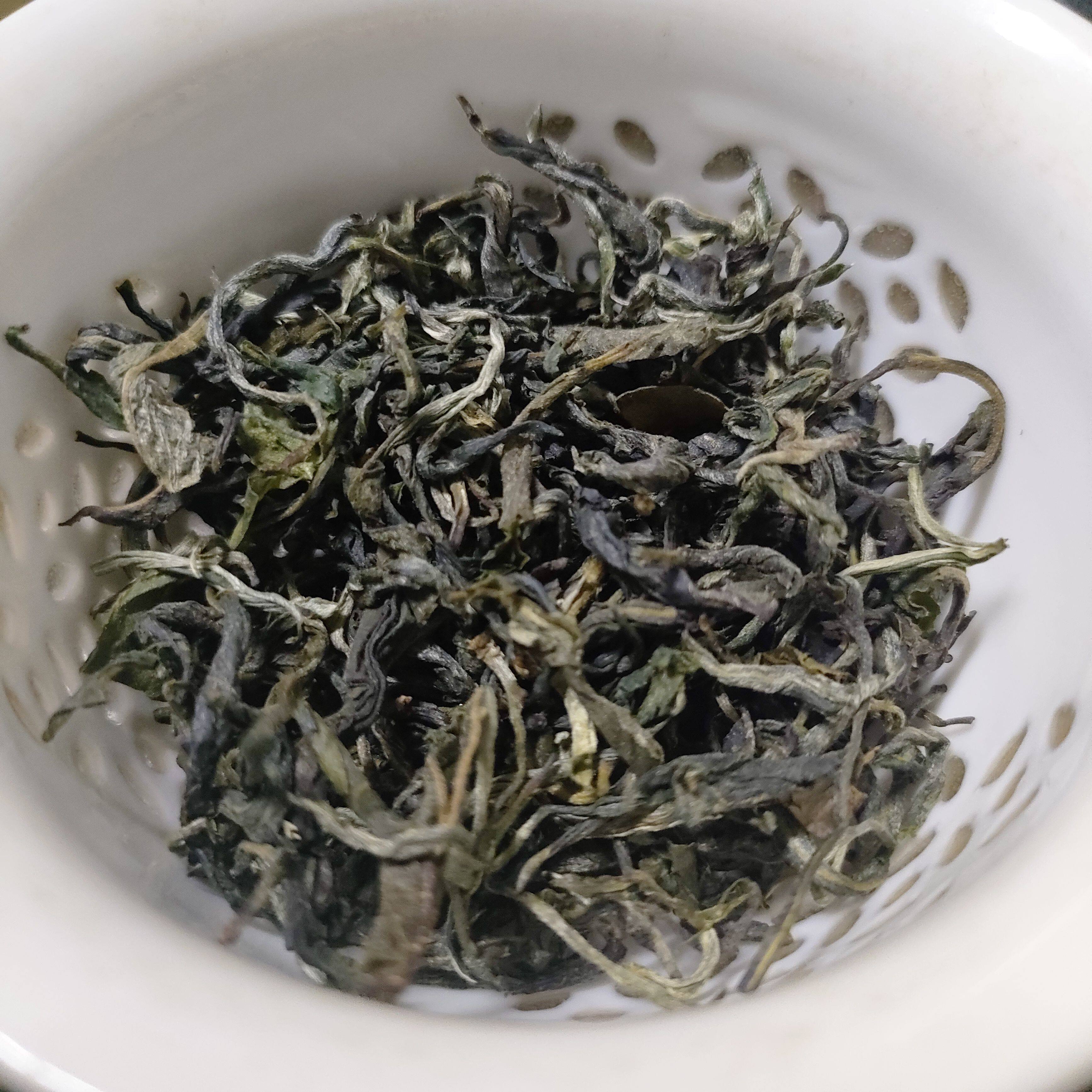 2026春茶韶关白毛茶乐昌九峰特级浓香清明茶味浓回甘毛尖绿茶新茶