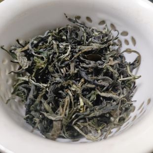 2025春茶韶关白毛茶乐昌九峰特级浓香清明茶味浓回甘毛尖绿茶新茶