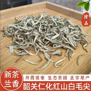 仁化毛尖茶红山白毛尖韶关白毛茶丹霞银豪粤北特产茶兰花香白毛尖