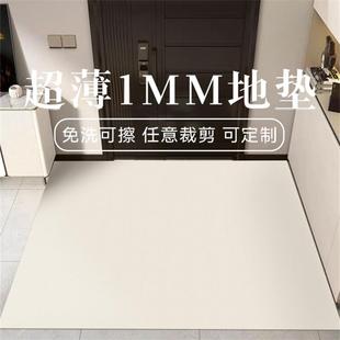 极薄1mm入户门地垫现代简约不卡门门垫可剪裁防滑免洗pvc地毯天津