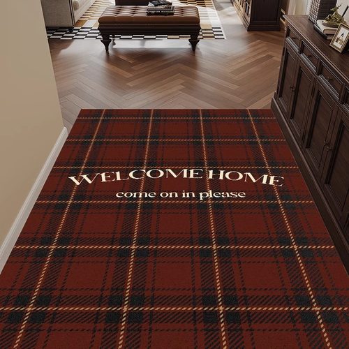 丝圈地垫入户门垫进门玄关脚垫子