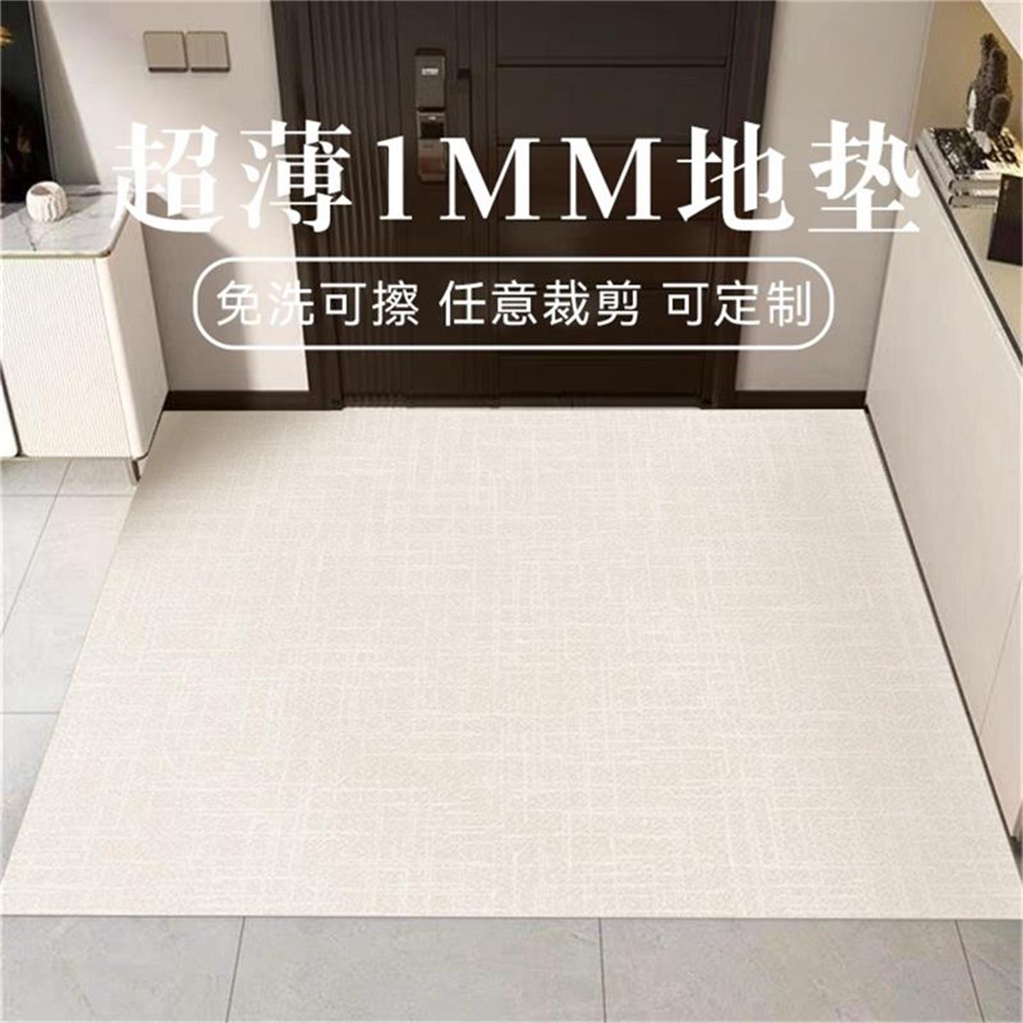 超薄1mm入户门地垫免洗可擦地毯