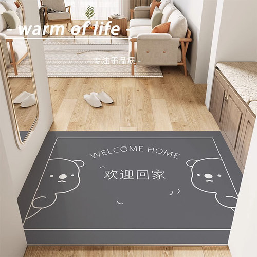 卡通网红玄关皮革入户门地毯防滑