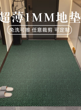 超薄1mm入户门地垫可擦洗地毯