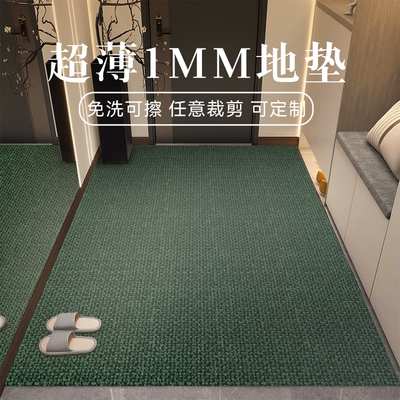超薄1mm入户门地垫可擦洗地毯
