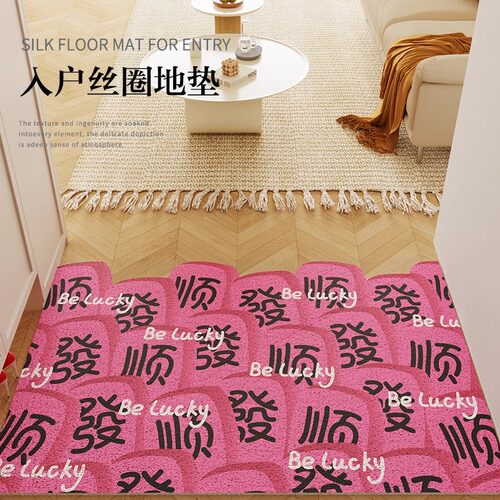 【月销过万】入户门地垫丝圈地毯
