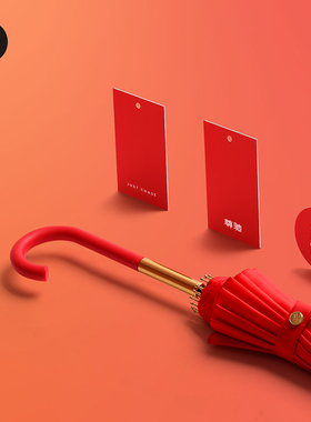 尊驰红色自动女长柄雨伞出嫁陪嫁红伞结婚新娘伞国风喜伞名字定制