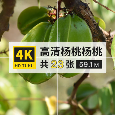 杨桃洋桃阳桃酢浆草科植物水果ps高清电脑图片4K壁纸海报大图素材