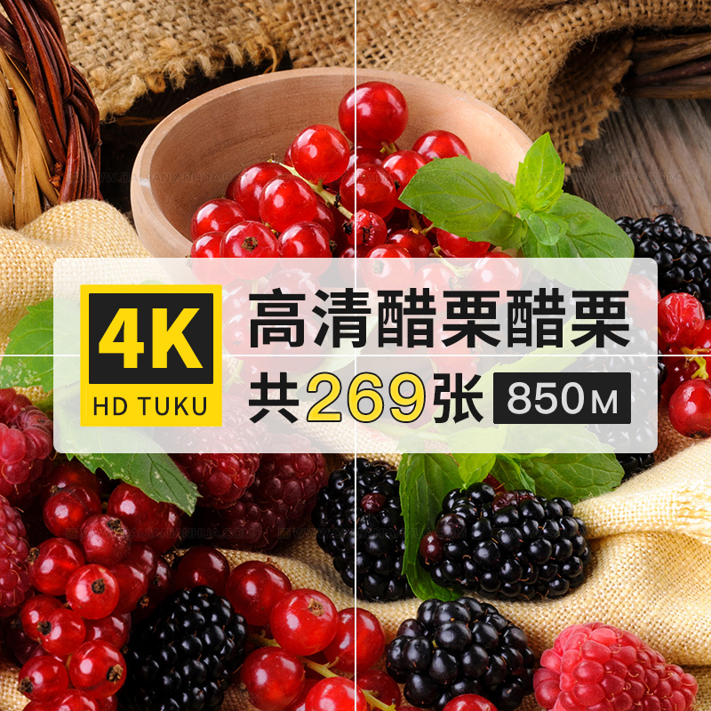 醋栗灯笼果山麻子果实水果大图4K高清电脑图片壁纸ps设计海报素材